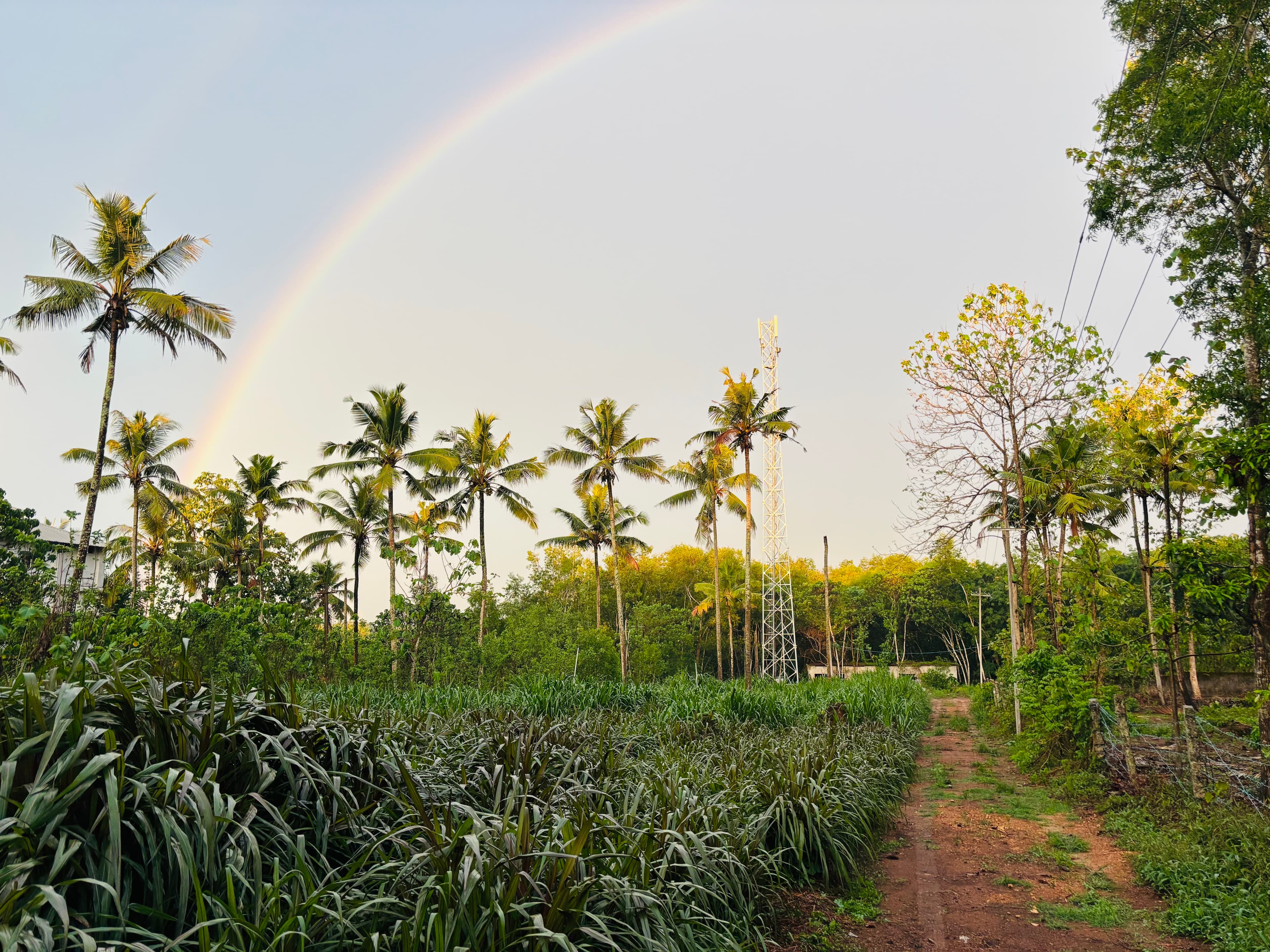 Sunandhini Natural Products 1